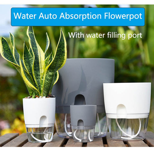 Focussa Shop™ Self Watering Pot