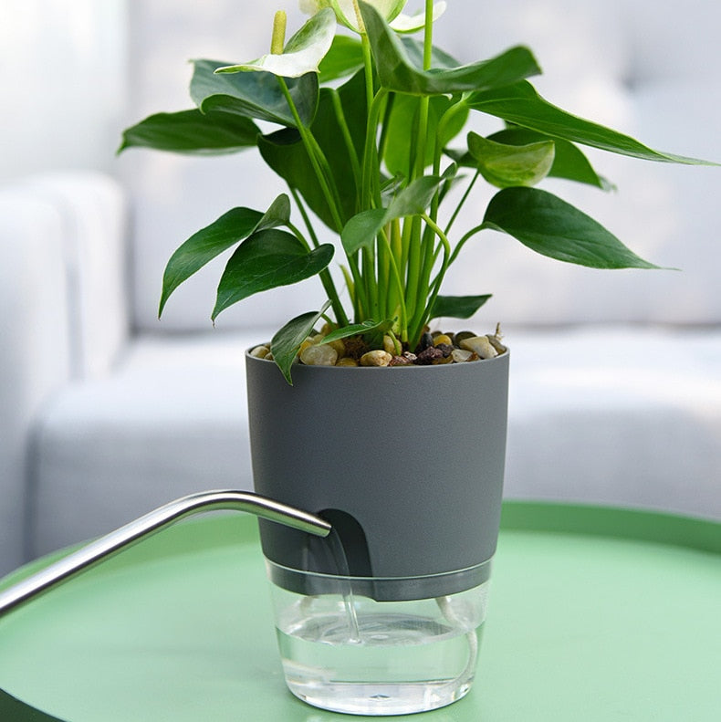 Focussa Shop™ Self Watering Pot