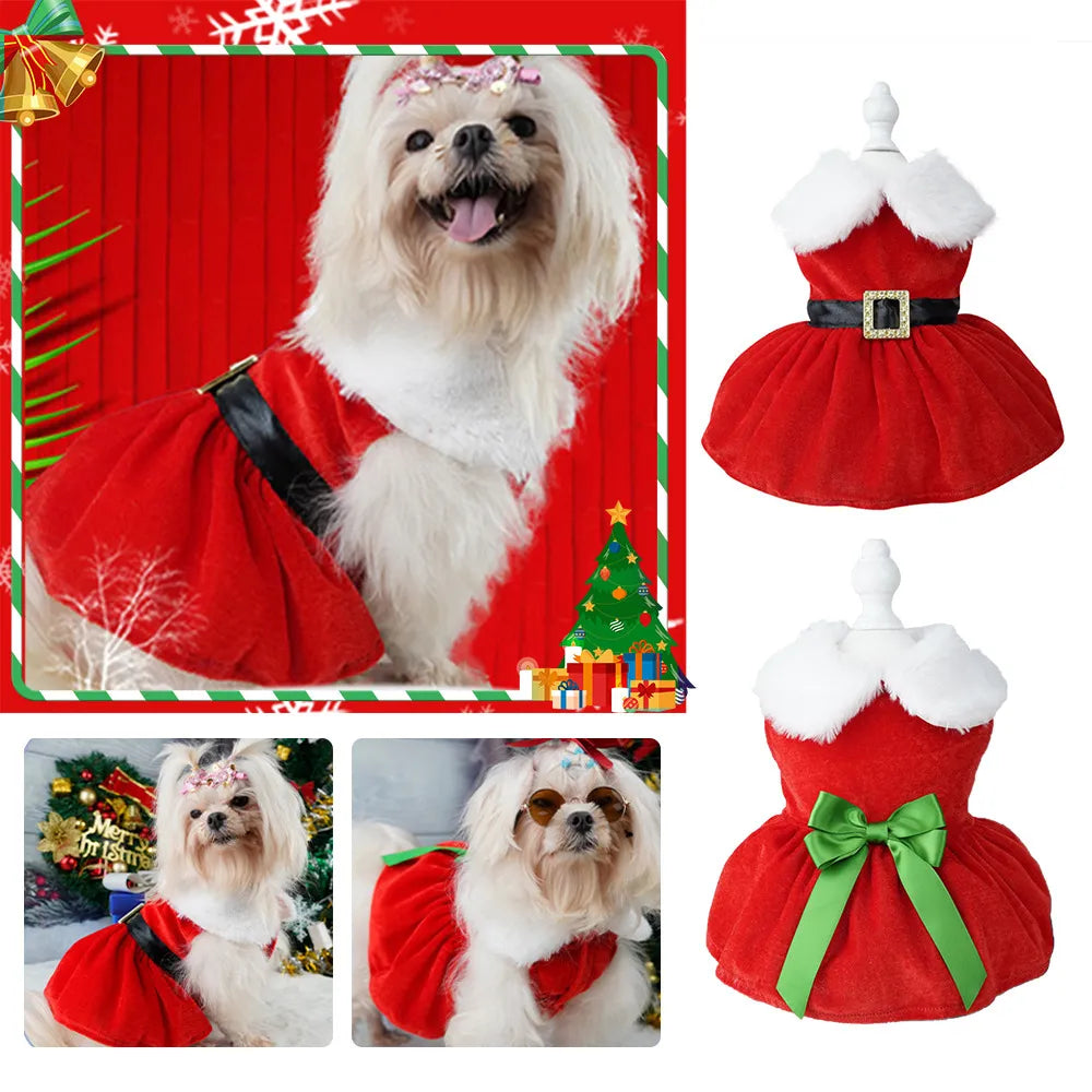 Dog Santa Claus outfit